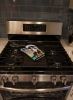 Bernese Mountain Dog 1 Artwork Oven Mitt