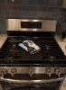 Bernese Mountain Dog 2 Artwork Oven Mitt
