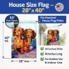 Dachshund 1 - Longhair - Red - Two Peas - Artwork House Flag