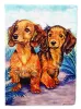 Dachshund 1 - Longhair - Red - Two Peas - Artwork House Flag