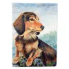 Dachshund 2 - Longhair - Chocolate and Cream - Artwork House Flag