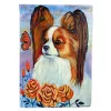 Papillon 9 Artwork House Flag