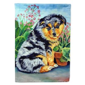 Australian Shepherd 25 House Flag