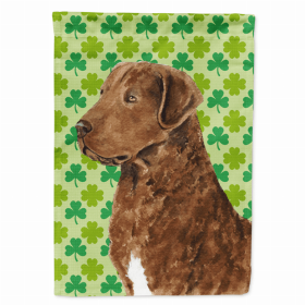 Chesapeake Bay Retriever St. Patrick's Day Shamrock Portrait Garden Flag