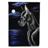 Great Dane 19 - Black - in The Moonlight Artwork House Flag