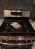 Boxer Artwork Oven Mitt