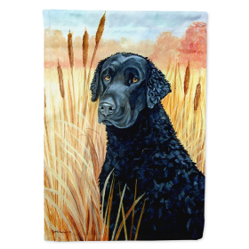 Curly Coated Retriever Artwork House Flag