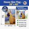 Great Dane 31 - Fawn - at the beach - Artwork House Flag