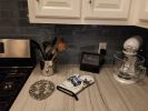 Basenji Artwork Oven Mitt
