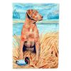 Chesapeake Bay Retriever Artwork House Flag