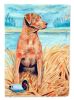 Chesapeake Bay Retriever 1 Garden Flag
