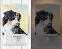 Bernese Mountain Dog Ceramic Nightlight