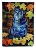Pug - Old Black in Fall Leaves Artwork House Flag