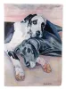 Great Dane 10  - Harlequin and Blue - Natural - Artwork House Flag