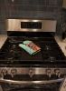 Border Terrier Artwork Oven Mitt