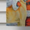 Great Dane 12 - with Santa Claus Artwork House Flag