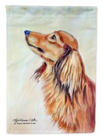 Dachshund 5 - Longhair - Red - Artwork House Flag
