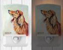 Dachshund - Longhair - Red - Ceramic Nightlight