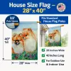 Pomeranian 4 Artwork House Flag