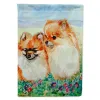 Pomeranian 4 Artwork House Flag