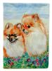 Pomeranian 2 Garden Flag