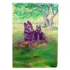 Schipperke and puppy  Artwork House Flag