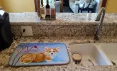 Corgi - Pup Snow Cardinal Art Dish Drying Mat