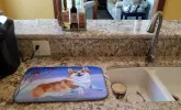 Corgi - Snow Cardinal Art Dish Drying Mat