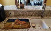 Corgi - Sunrise with colt Art Dish Drying Mat