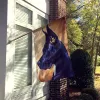 Great Dane 18 - Black - Artwork House Flag