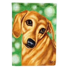 Dachshund - The Eyes have it  Artwork Artwork House Flag