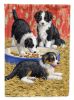 Border Collie Pups House Flag