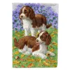 Welsh Springer Spaniel - Pups -  Artwork House Flag