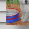 Westie - Pups -  Artwork House Flag