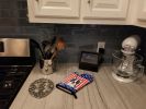 Boston Terrier American Flag Oven Mitt