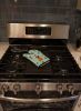 Border Terrier 1 Christmas Oven Mitt