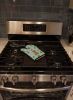 Briard - Brown - Christmas Oven Mitt