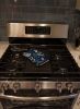 Boxer Blue Flowers Oven Mitt