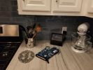 Beagle Blue Flowers Oven Mitt