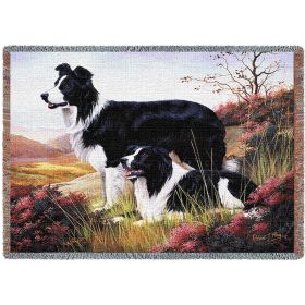 Border Collie - Cotton Woven Blanket