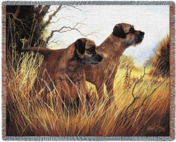 Border Terrier - Cotton Woven Blanket
