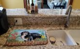 Bernese Mountain Dog Spring Dish Drying Mat