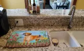 Rhodesian Ridgeback Spring Dish Drying Mat