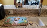 Beagle Spring Dish Drying Mat