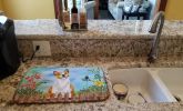 Basenji Spring Dish Drying Mat