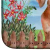 Dachshund - Red Spring Dish Drying Mat