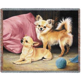 Chihuahua - Cotton Woven Blanket