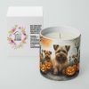Norfolk Terrier Spooky Halloween Decorative Soy Candle