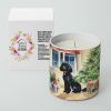 Poodle Cozy Christmas Decorative Soy Candle