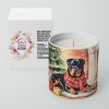 Rottweiler Cozy Christmas Decorative Soy Candle